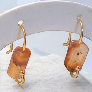 Elegant Gold and Brown Earrings